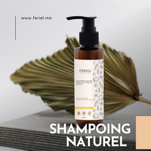 Shampoing Naturel Sans Sulfate